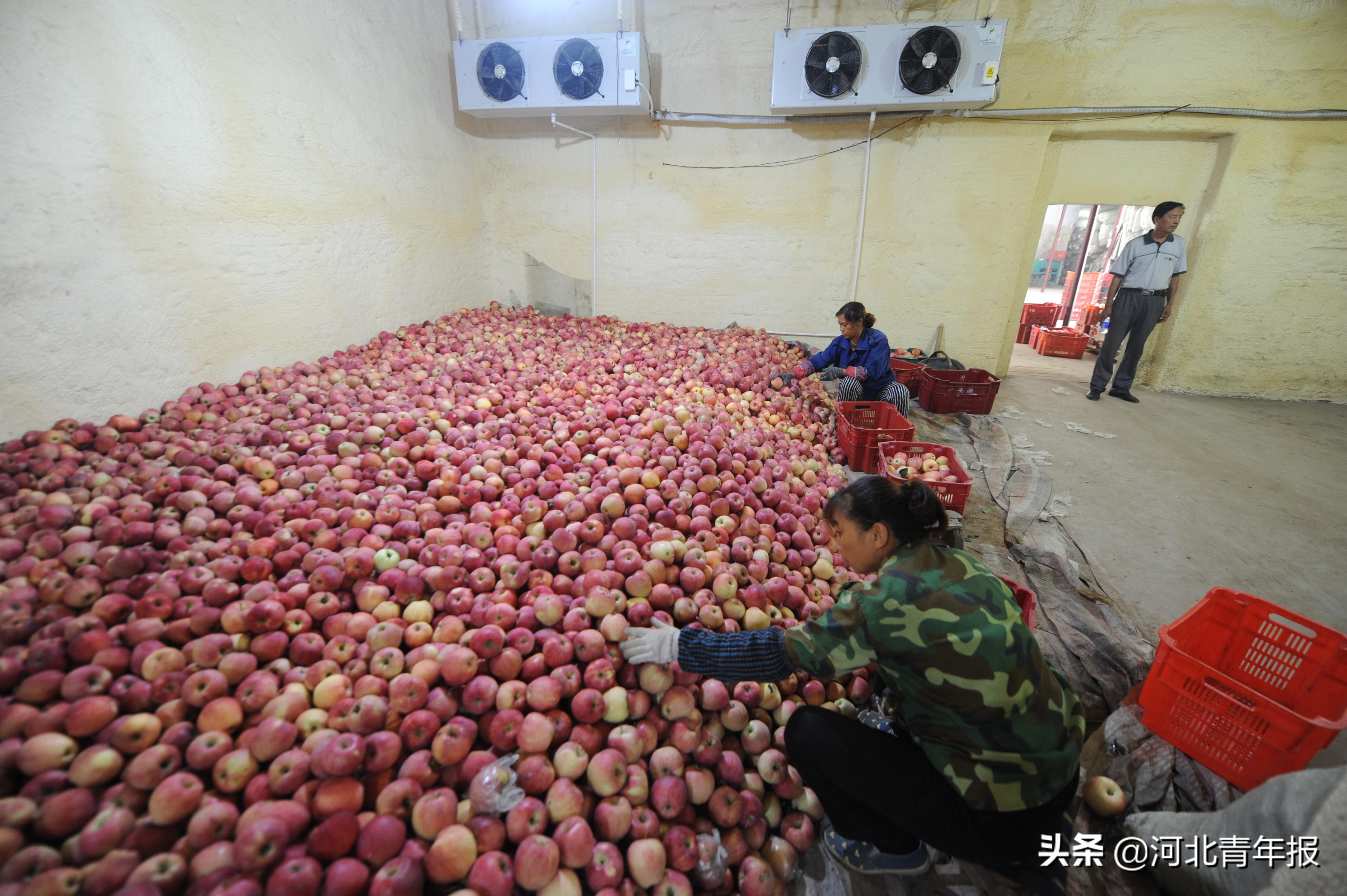 苹果最新系统时间显示功能深度解析与独特体验探讨