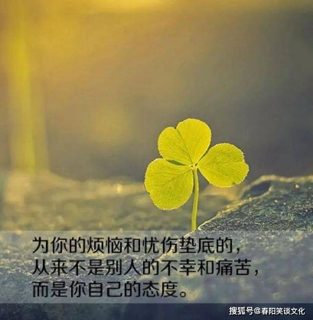 激励人心的最新语录