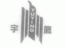 神鷹鹽業(yè)最新動態(tài)解讀與未來發(fā)展展望