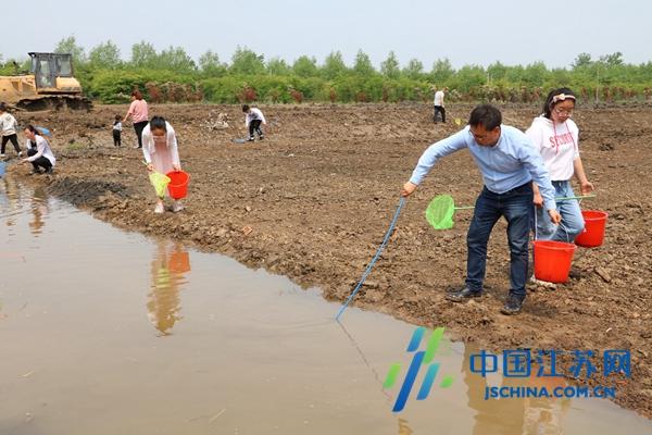 建湖京城國際最新房價走勢分析