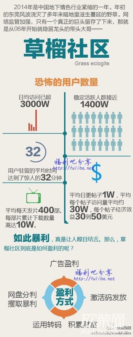 草餾社區(qū)，探索最新域名之旅