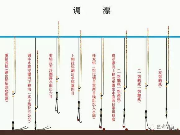 最新调漂视频，技巧与策略深度解析在线观看