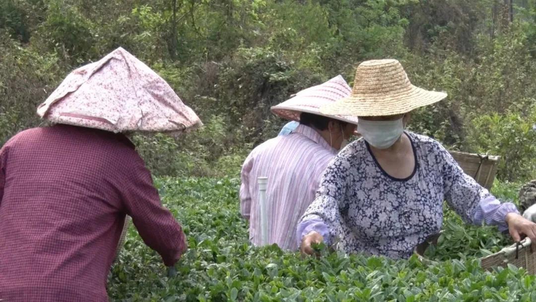 海豐最新招聘機(jī)遇探尋，58同城引領(lǐng)人才招聘新風(fēng)潮