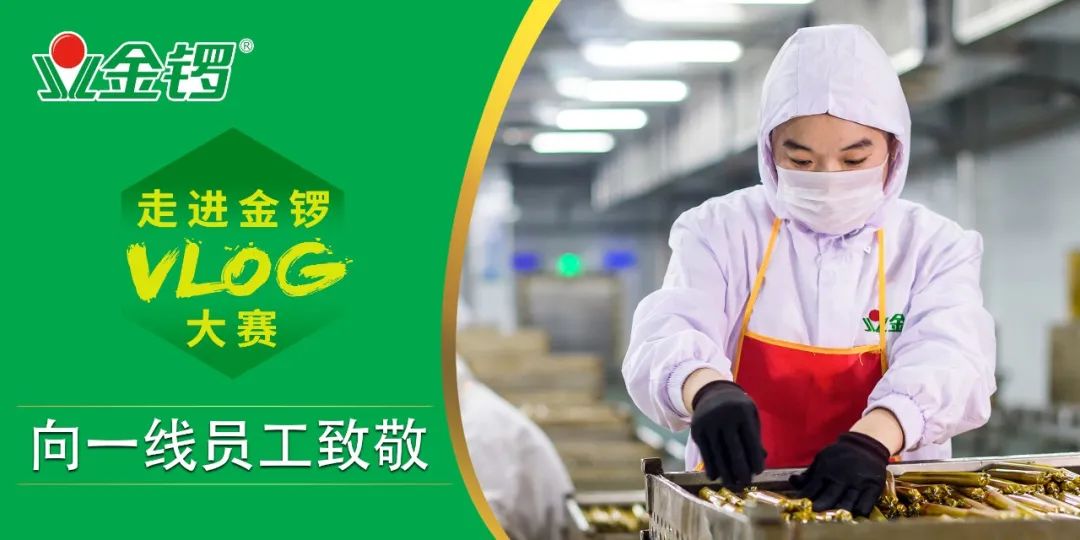 臨邑金鑼最新招聘信息全解析，崗位、待遇與申請(qǐng)細(xì)節(jié)