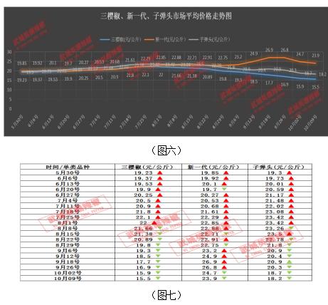 今日鲜辣椒价格行情分析报告