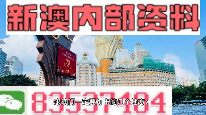 2024新澳天天资料免费大全,经典案例解释定义_MR62.969