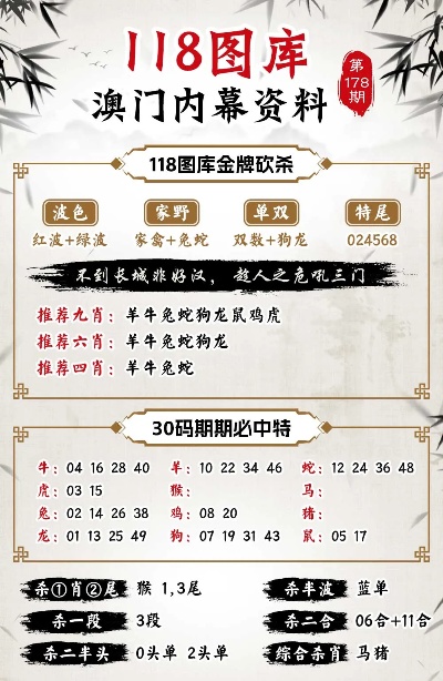 新澳门王中王100%期期中,深度解答解释定义_特供款17.931