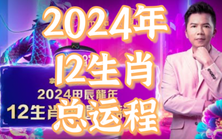 2024年一肖一码一中一特,整体规划执行讲解_Harmony款10.20