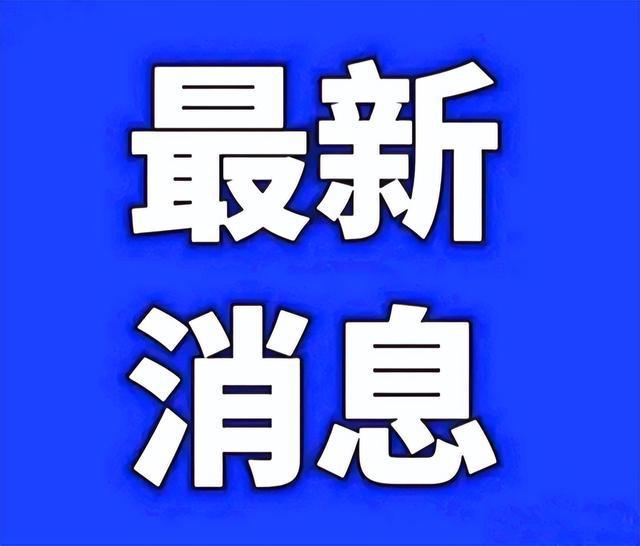 南京疫情最新信息概述，疫情动态与防控进展