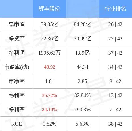 辉丰公司最新消息全面解读