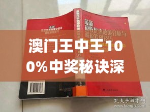 澳门王中王100%期期中,权威说明解析_Windows59.28