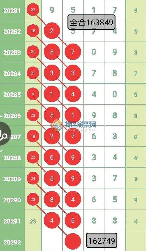 大三巴一肖一码中,诠释解析落实_2D74.439